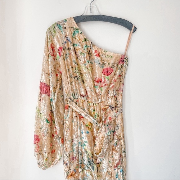 NWT HEMANT AND NANDITA Veena Midi Dress in Nude Floral Ruffle Velvet Sz Small - Picture 5 of 11